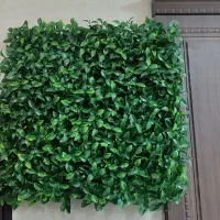چمن مصنوعی نصب روی دیواری می باشد