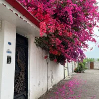 فروش و تهاتر ویلایی ۱۷۰ متری تمیز در دیلمانِ گلسار