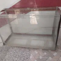 آکواریوم