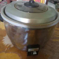 پلوپز برقی