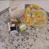 قفس همستر و چرخ و فلک و غذا