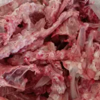 اسکلت و گردن مرغ