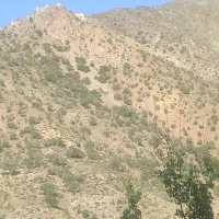 زمین در توکل اباد دهبکری