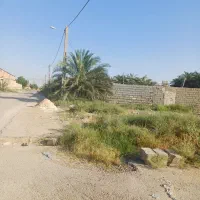 زمین ۱۱۳.۵متری دو نبش