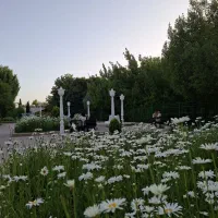 منزل ویلایی برازجان