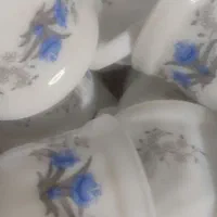 استکان آرکوپال