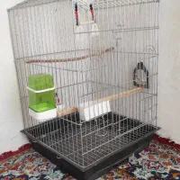 قفس بزرگ