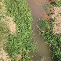زمین گِل کشاورزی نمونه