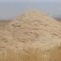 کاه گندم