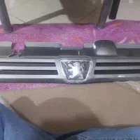 جلو پنجره پژو