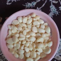 سیر پاک شده مروارید