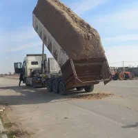 کاه نیشکر