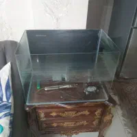 آکواریوم شرکتی بالوازم کامل