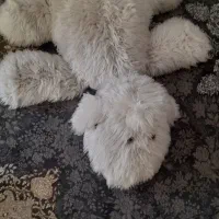 سگ اسباب بازی