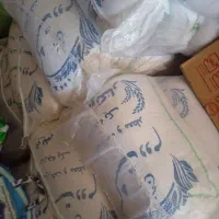 برنج دو بار کشت فریدونکنار