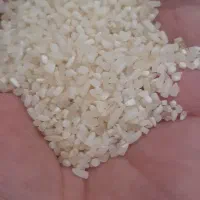 فروش دوقد