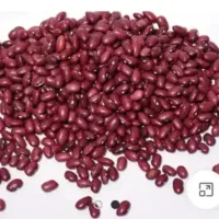 لوبیا قرمز یاقوت بزری به شرط