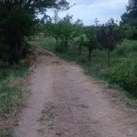 فروش باغ در روستای خوک