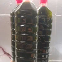 روغن زیتون اصل طارم ارگانیک