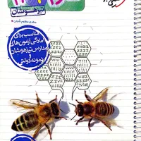 علوم ۹ ام تیزهوشان خیلی سبز