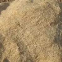 خرید فروش کاه گندم وجو وتحویل کاه درمحل