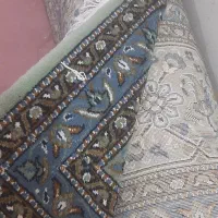 درحد نو