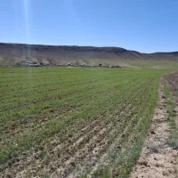 زمین فروشی