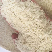 برنج هاشمی امساله