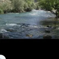 ماهیگیری