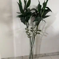 گل مصنوعی بامبو ریشه دار