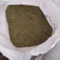 ماش  بوجاری شده قیمت ۲۲۰بذری درجه یک،