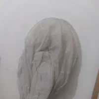 ژپون لباس عروس و مجلسی