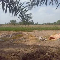 آبیاری وسایر کار مربوطه