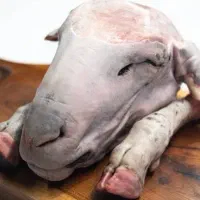 کله پاچه محلی تمیز