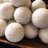 خرید و فروش سنگ قیمتی( کارشناسی اولیه رایگان)