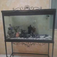 آکواریوم