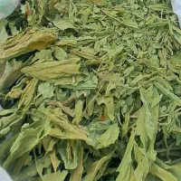 فروش تنبا.کوی تازه