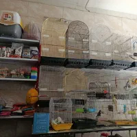 فروش انواع لوازم پرندگان و پت