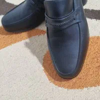 کفش چرم اصل