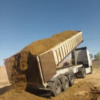 کودگاوی