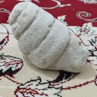 فسیل چند میلیون ساله