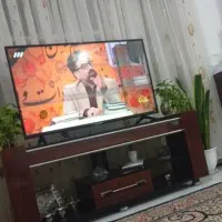 تلویزیون 43