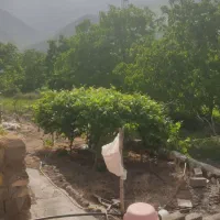 باغ ویلای زیبا کوه
