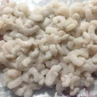 فروش میگو تازه