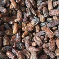 خرما پیارم|خوردنی و آشامیدنی|اصفهان, چشمه باقرخان|دیوار