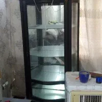 بوفه