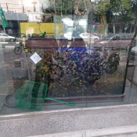 اکواریوم میجیانگ