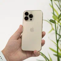 13pro