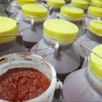 رب گوجه خانگی
