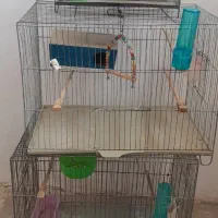 قفس پرنده